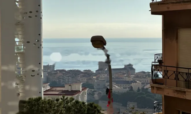 Недвижимость Apartment Monaco, Jardin Exotique: 4