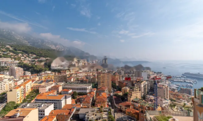 Недвижимость Apartment Monaco, Jardin Exotique: 1