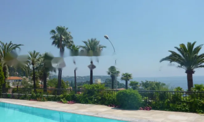 Недвижимость Apartment Monaco, La Rousse: 6