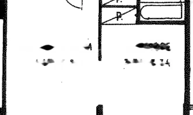 Недвижимость Apartment Monaco, La Rousse: 14