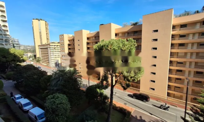 Недвижимость Apartment Monaco, La Rousse: 4