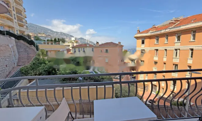 Недвижимость Apartment Monaco, Jardin Exotique: 1