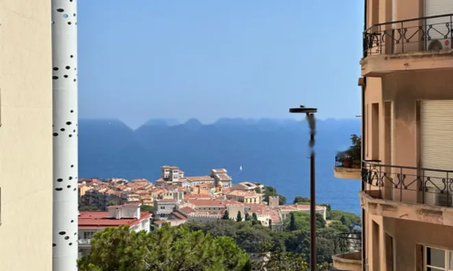 Недвижимость Apartment Monaco, Jardin Exotique: 15