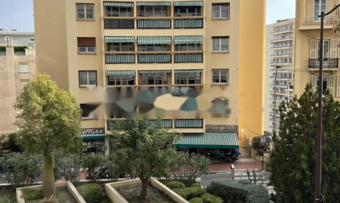 Недвижимость Apartment Monaco, La Rousse: 10