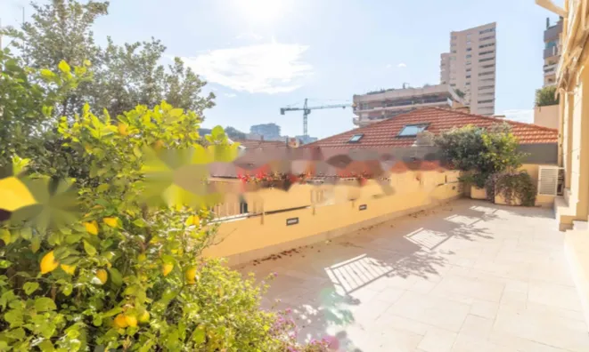 Недвижимость Apartment Monaco, Carre D'Or: 12