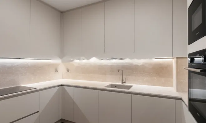 Недвижимость Apartment Monaco, Condamine: 2