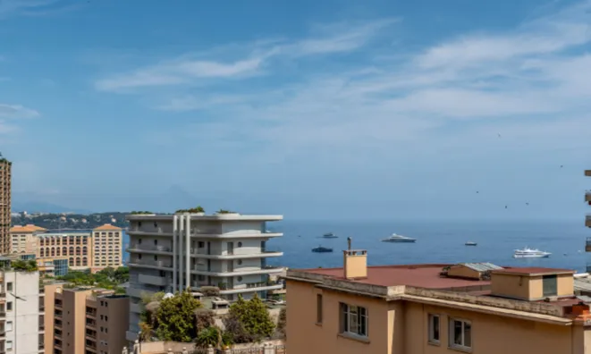 Недвижимость Apartment Monaco, La Rousse: 1