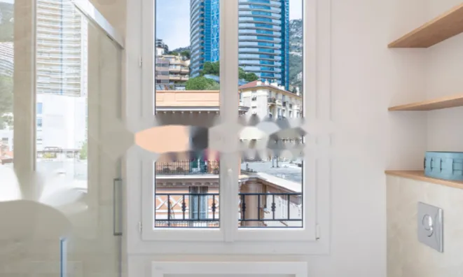 Недвижимость Apartment Monaco, La Rousse: 8