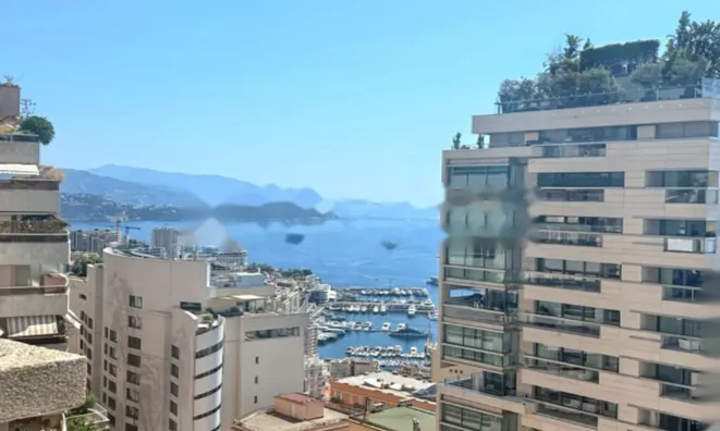 Недвижимость Apartment Monaco, Jardin Exotique: 2