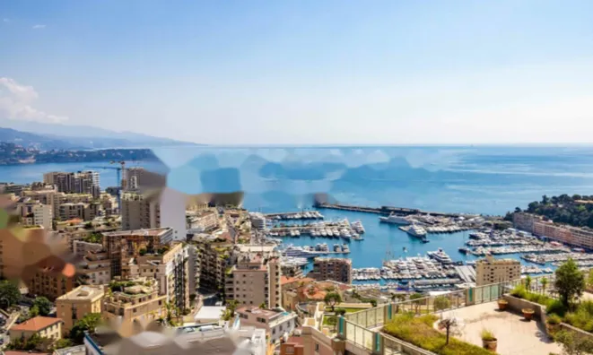 Недвижимость Apartment Monaco, Jardin Exotique: 30