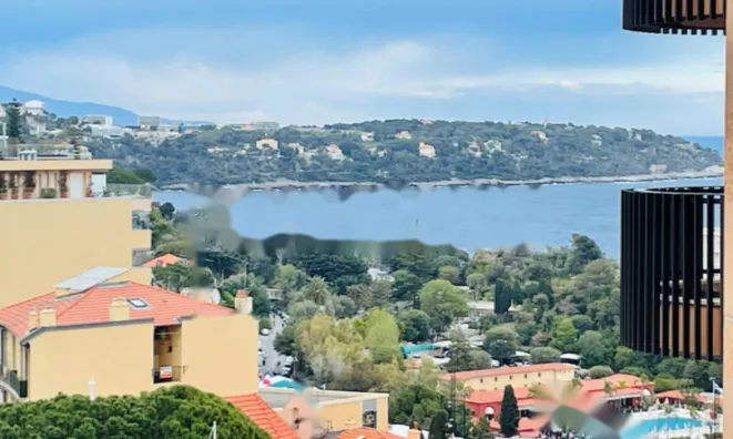 Недвижимость Apartment Monaco, La Rousse: 1