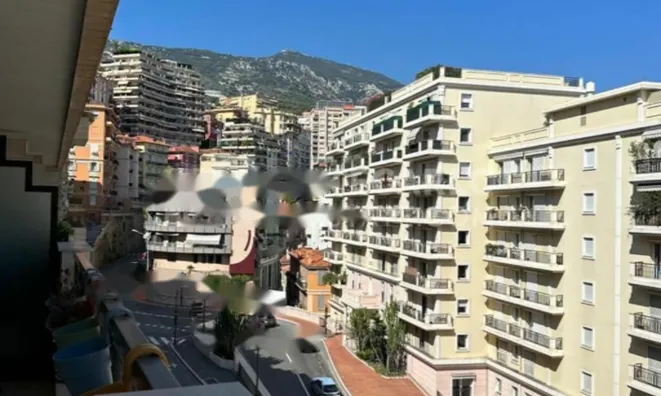 Недвижимость Apartment Monaco, Jardin Exotique: 12