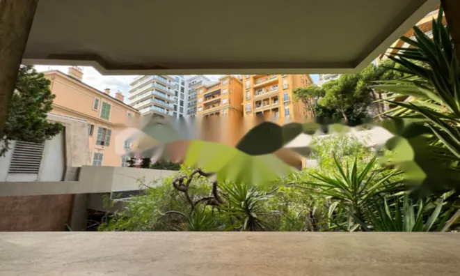 Недвижимость Apartment Monaco, Port: 14