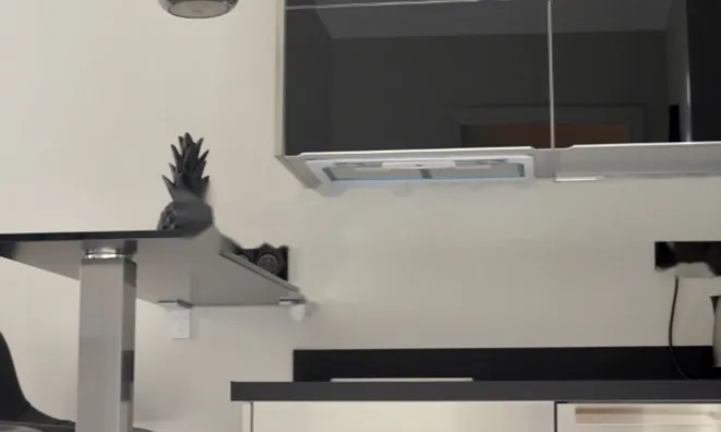 Недвижимость Apartment Monaco, Larvotto: 5