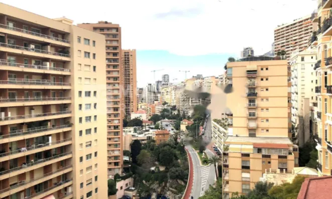 Недвижимость Apartment Monaco, Larvotto: 10