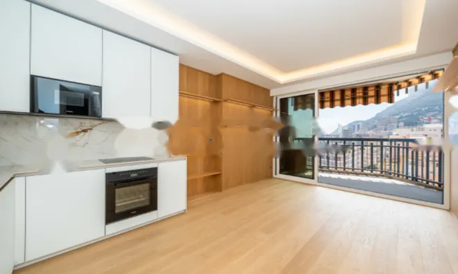 Недвижимость Apartment Monaco, Monte-Carlo: 2