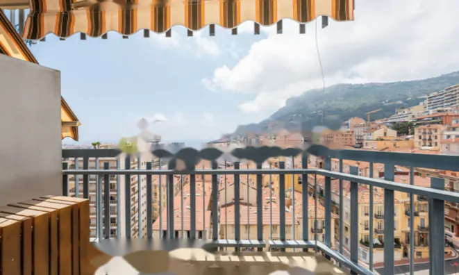 Недвижимость Apartment Monaco, Monte-Carlo: 13