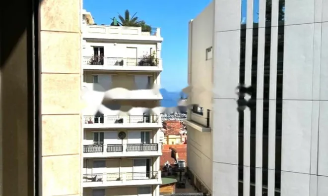 Недвижимость Apartment Monaco, Jardin Exotique: 12