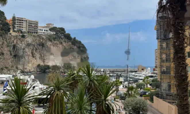 Недвижимость Apartment Monaco, Fontvieille: 9