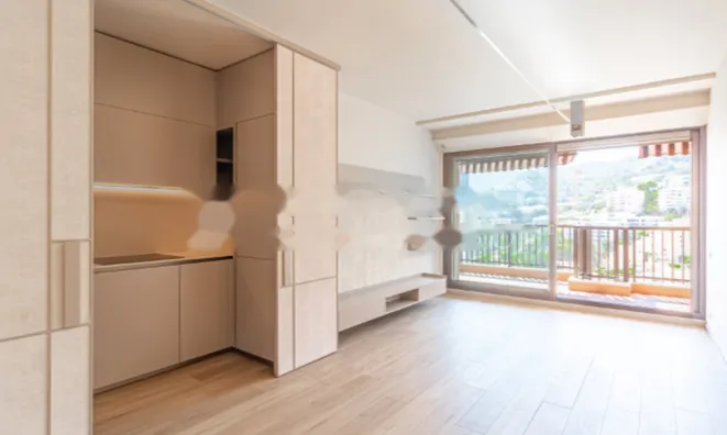 Недвижимость Apartment Monaco, La Rousse: 4