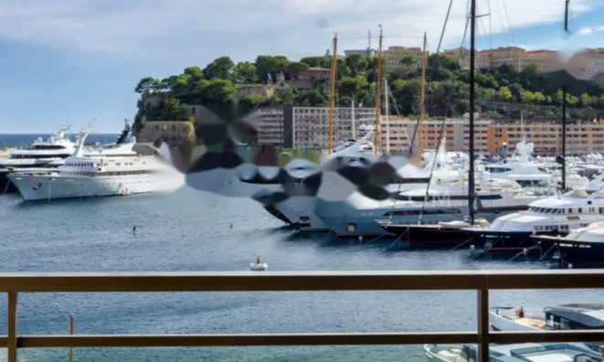 Недвижимость Apartment Monaco, Carre d'Or: 9