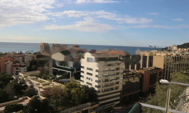 Недвижимость Apartment Monaco, Jardin Exotique: 1