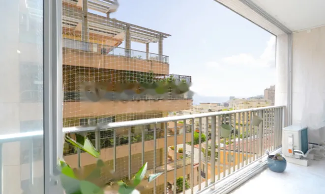 Недвижимость Apartment Monaco, La Rousse: 9