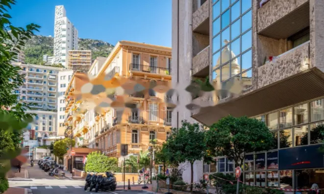 Недвижимость Apartment Monaco, Condamine: 20