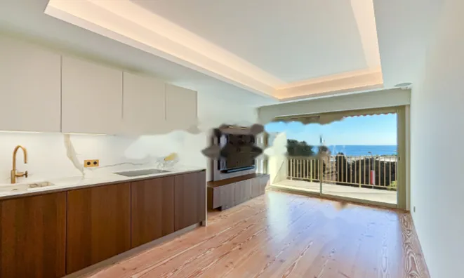 Недвижимость Apartment Monaco, Monte-Carlo: 1