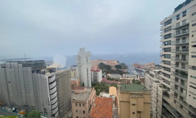 Недвижимость Apartment Monaco, Jardin Exotique: 3