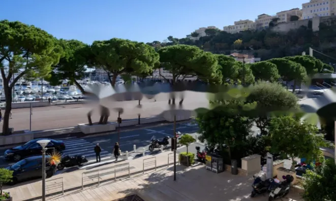 Недвижимость Apartment Monaco, Port: 2