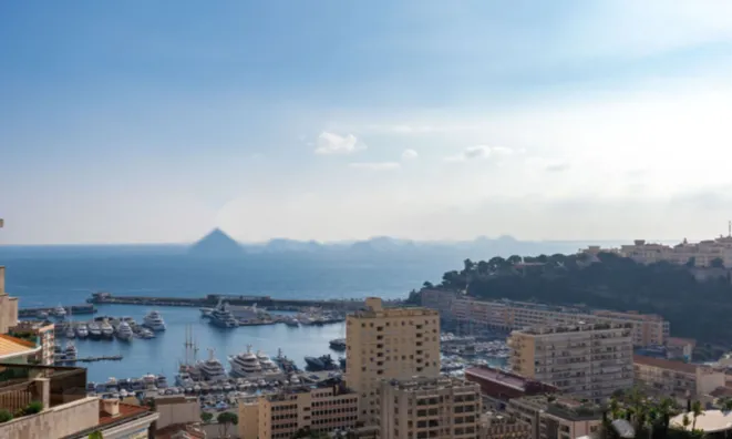 Недвижимость Apartment Monaco, Moneghetti: 12