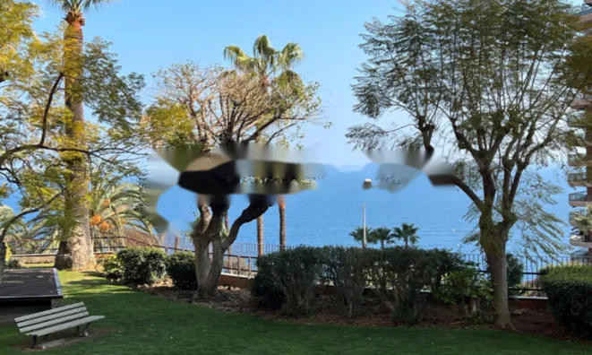 Недвижимость Apartment Monaco, La Rousse: 2