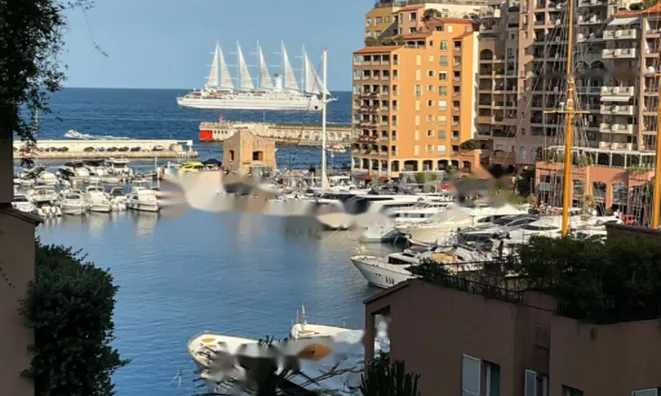 Недвижимость Apartment Monaco, Fontvieille: 1