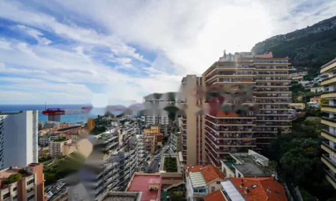 Недвижимость Apartment Monaco, Jardin Exotique: 7