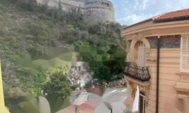 Недвижимость Apartment Monaco, Condamine: 5