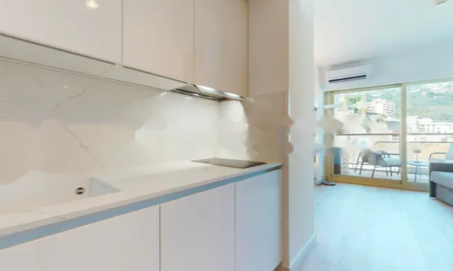 Недвижимость Apartment Monaco, La Rousse: 2