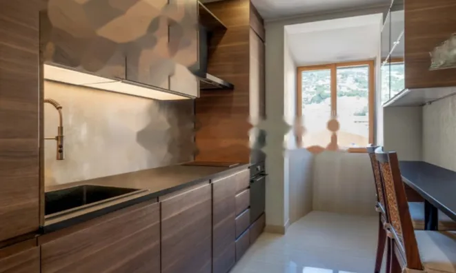 Недвижимость Apartment Monaco, Moneghetti: 2