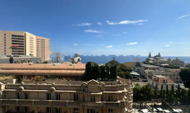 Недвижимость Apartment Monaco, Carre d'Or: 13