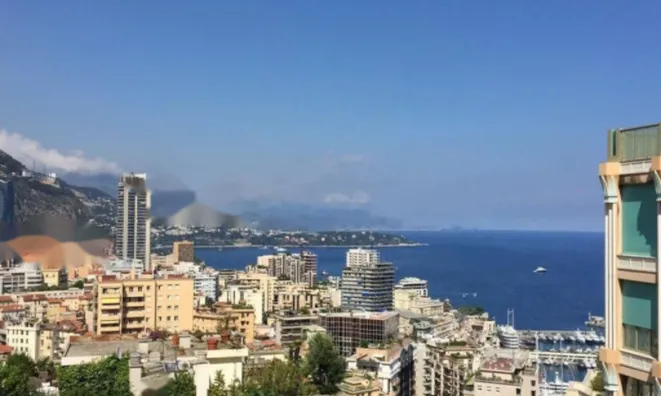 Недвижимость Apartment Monaco, Jardin Exotique: 1