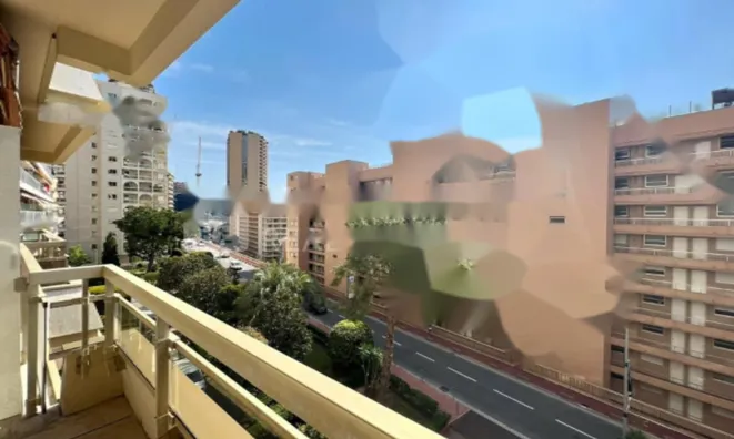 Недвижимость Apartment Monaco, La Rousse: 1