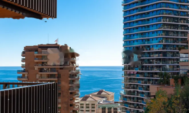 Недвижимость Apartment Monaco, La Rousse: 5