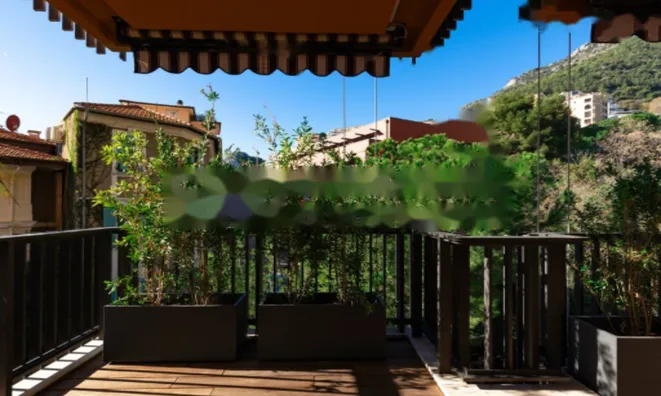 Недвижимость Apartment Monaco, La Rousse: 10