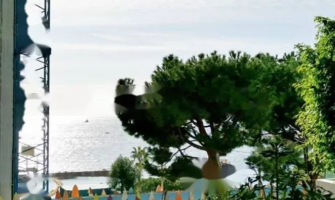 Недвижимость Apartment Monaco, Larvotto: 2