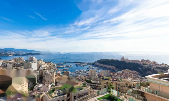 Недвижимость Apartment Monaco, Moneghetti: 1