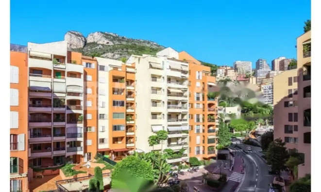 Недвижимость Apartment Monaco, Fontvieille: 5