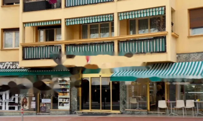 Недвижимость Apartment Monaco, La Rousse: 1