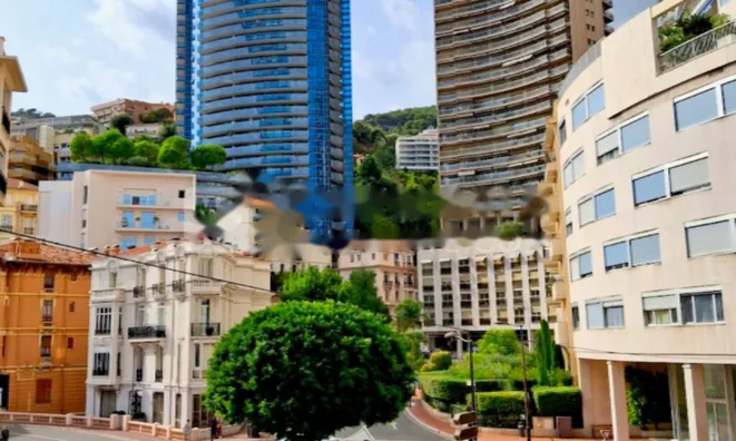 Недвижимость Apartment Monaco, La Rousse: 10