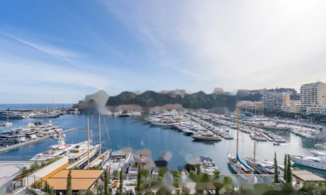 Недвижимость Apartment Monaco, Port: 11