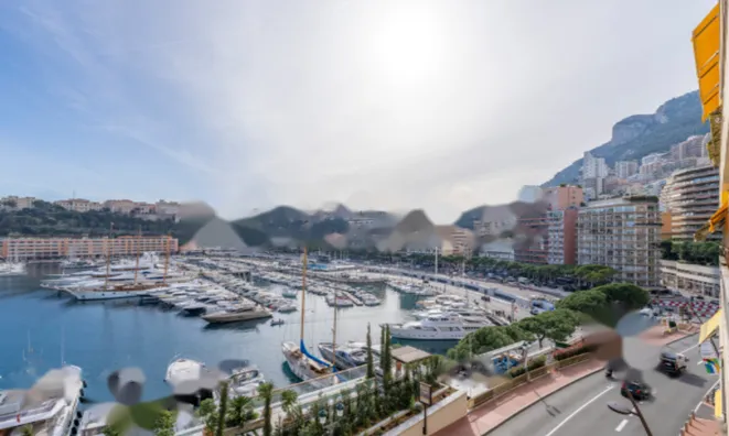 Недвижимость Apartment Monaco, Port: 12